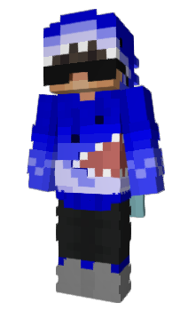 Minecraft skin 1wvc