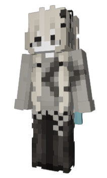 Minecraft skin 21520