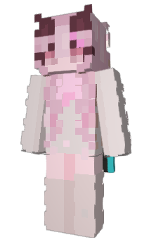 Minecraft скін по ніку 236O