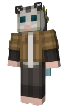 Minecraft скин по нику 250MB
