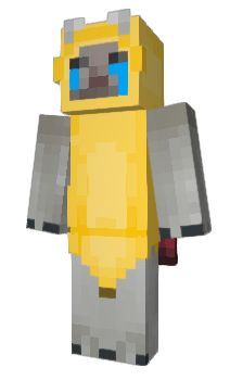Minecraft skin 35wik