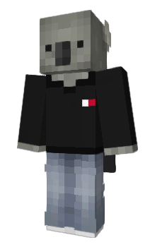 Minecraft skin Adefenix