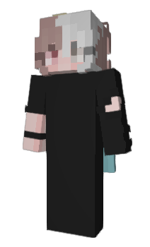 Minecraft skin Alrashhii
