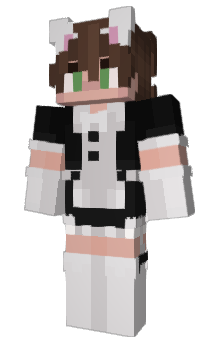 Minecraft skin ArashiNebula