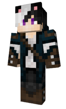 Minecraft скін по ніку Ariverse