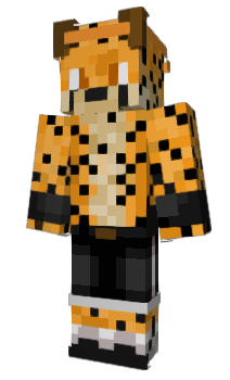 Minecraft skin Barrabra