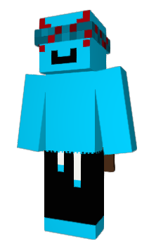 Minecraft skin BokOmer