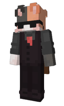 Minecraft skin BuddyMerle5