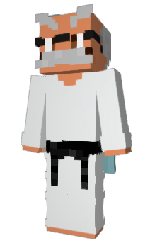 Minecraft skin Bulachacinza