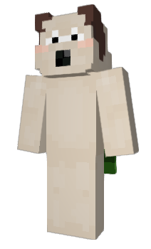 Minecraft скин по нику CW_hyeon