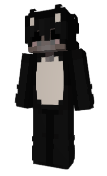 Minecraft скін по ніку CatDogFerret