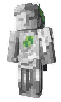 Minecraft skin DM_R