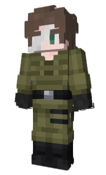 Minecraft skin Danilfox13