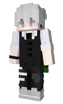 Minecraft skin ERVANXD