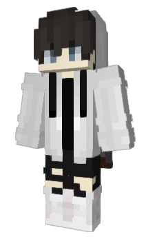 Minecraft скін по ніку EvilDragonMC