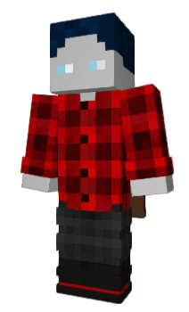 Minecraft skin Flippikevin14