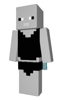 Minecraft skin G23R