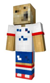 Minecraft skin Gilgeous
