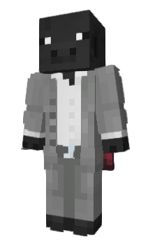Minecraft skin Insen