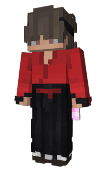 Minecraft skin Intelligenz