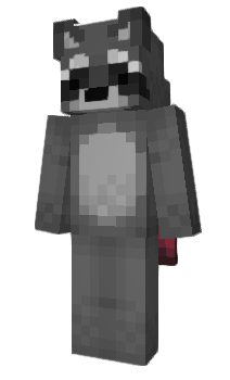 Minecraft скін по ніку IsThatARaccoon