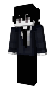 Minecraft skin Karateca