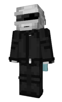 Minecraft skin Kipter