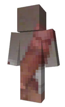 Minecraft skin Kvadrober