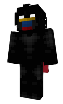 Minecraft skin L2BRsko