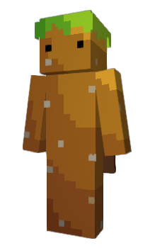 Minecraft skin MAP0007