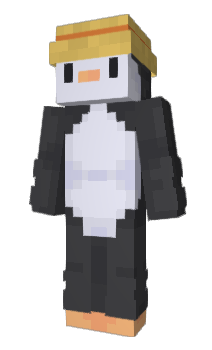 Minecraft skin McBigi