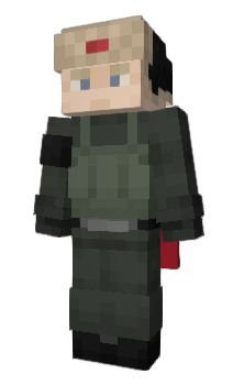 Minecraft skin Mestrer