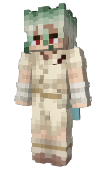 Minecraft skin Mgpl