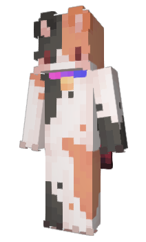Minecraft скін по ніку Mgpl