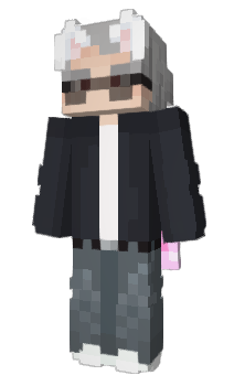 Minecraft skin MrArmyCats
