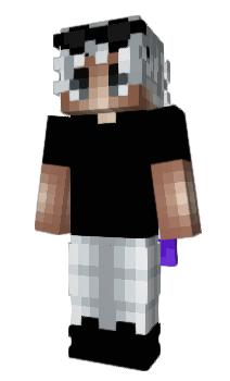 Minecraft скин по нику N3wly