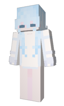 Minecraft skin NES304E2