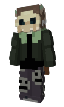 Minecraft skin Neergue