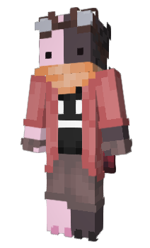 Minecraft skin Nindzi