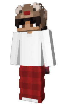 Minecraft skin NotToSale