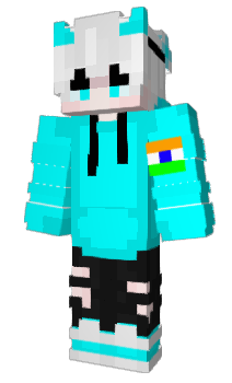 Minecraft skin Not_Ansj