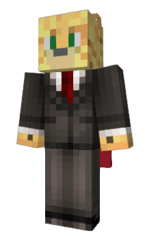 Minecraft скин по нику Ocelotek1234POL
