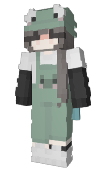 Minecraft скин по нику PMSKIDDO
