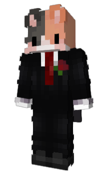 Minecraft skin PRS_yt