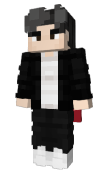 Minecraft skin Panduster