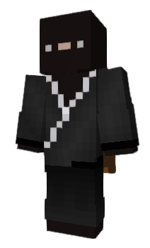 Minecraft skin PkZika