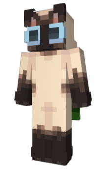 Minecraft скин по нику Poeze