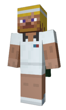 Minecraft skin Qwervito