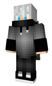 Minecraft skin RWTAMIR