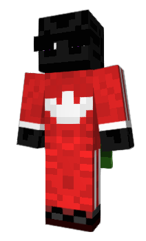 Minecraft скін по ніку Refroidissement